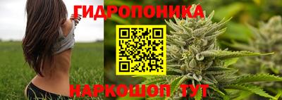 хмурый Обь